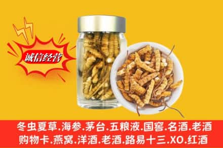 宜昌猇亭区回收散虫草
