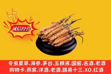 宜昌猇亭区求购回收虫草多少钱每克